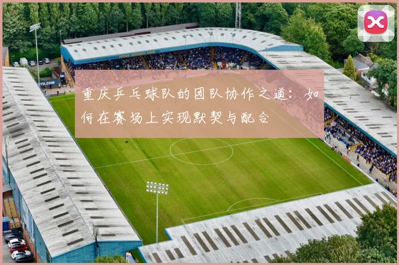 重庆乒乓球队的团队协作之道：如何在赛场上实现默契与配合